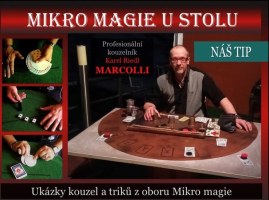 Mikromagie